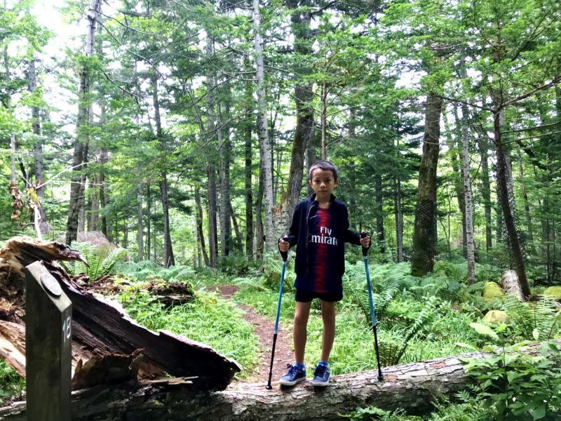 ノルディック・ウォーク