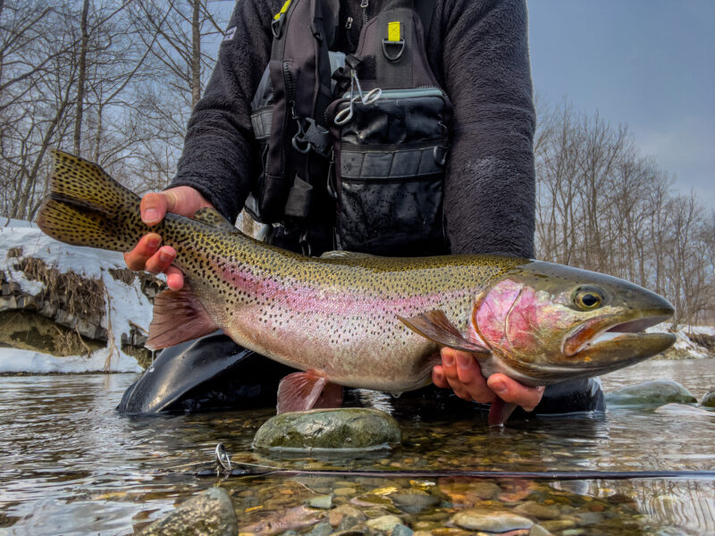 道東フィッシング