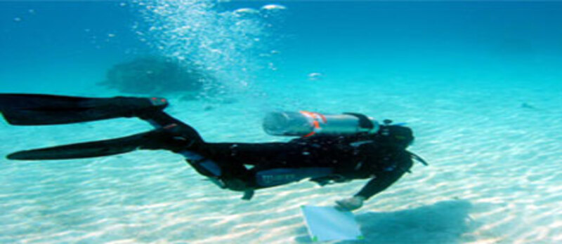 ダイバーの写真